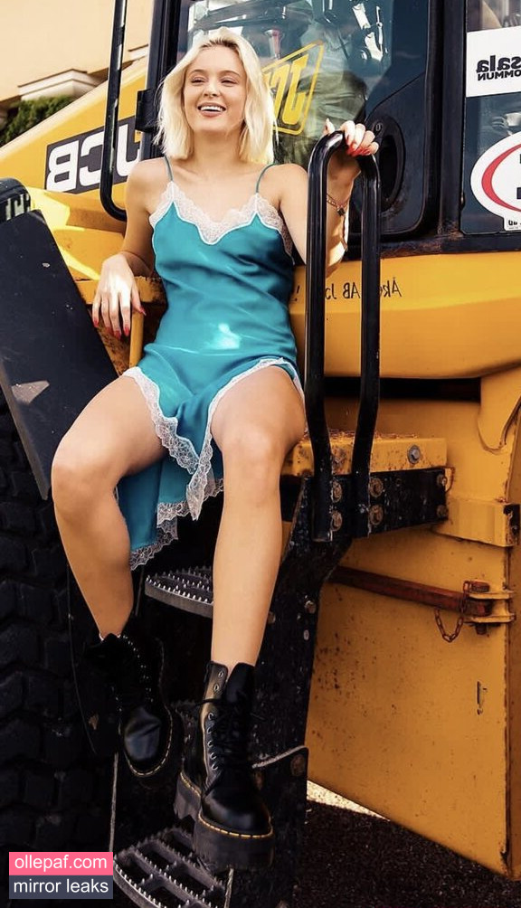 Latest Leaks Zara Larsson Nude #551 - Fapello