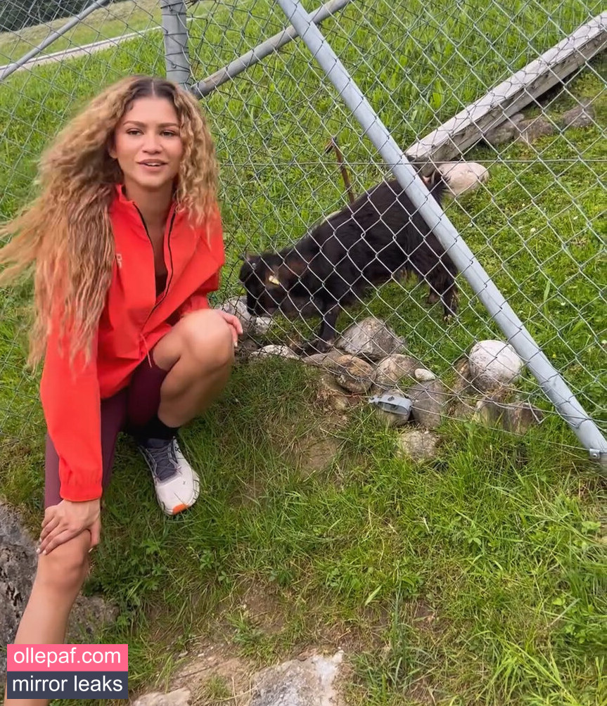 Latest Leaks Zendaya Nude #530 - Fapello