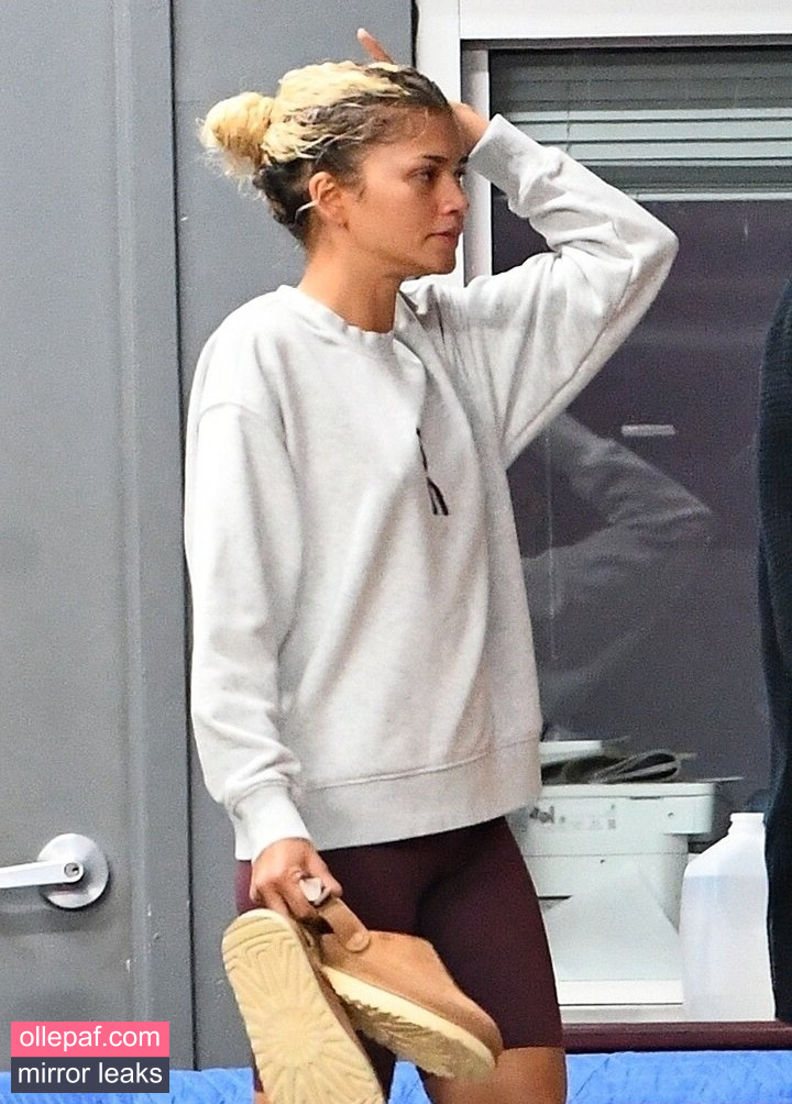 Latest Leaks Zendaya Nude #533 - Fapello