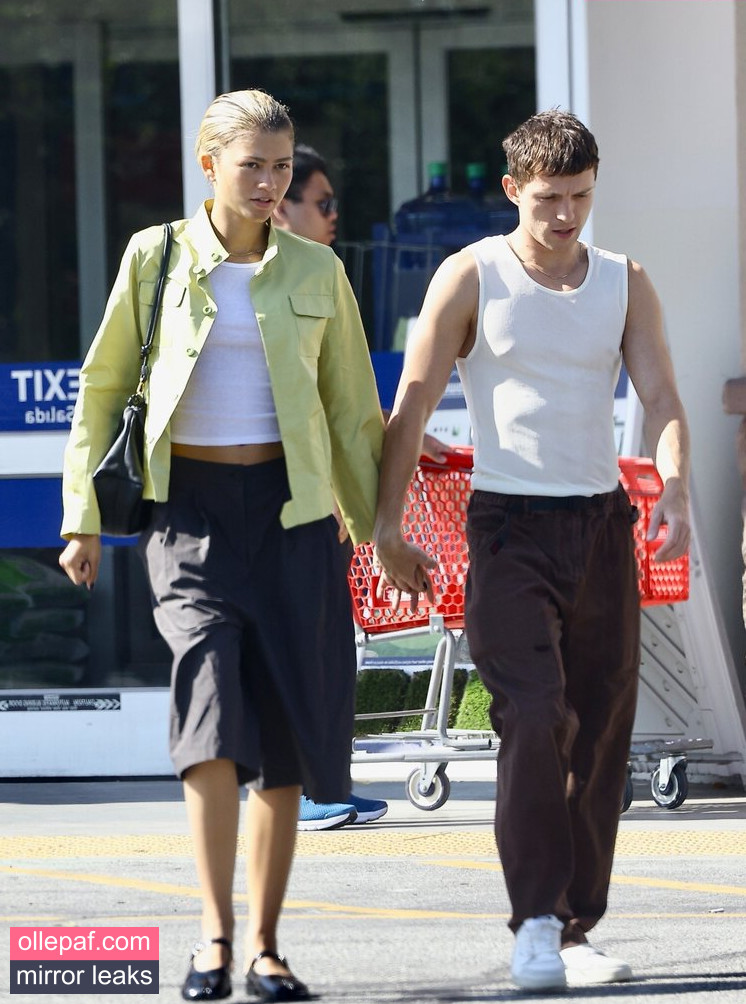 Latest Leaks Zendaya Nude #542 - Fapello
