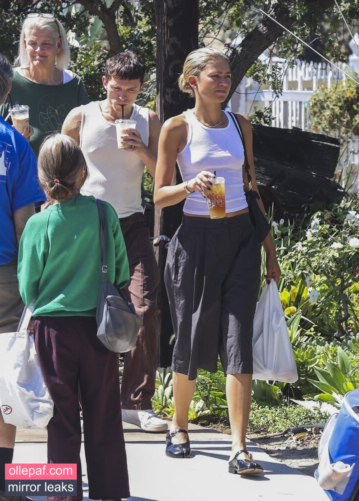 Latest Leaks Zendaya Nude #742 - Fapello