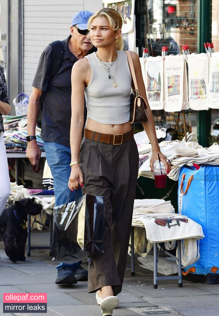 Latest Leaks Zendaya Nude #940 - Fapello