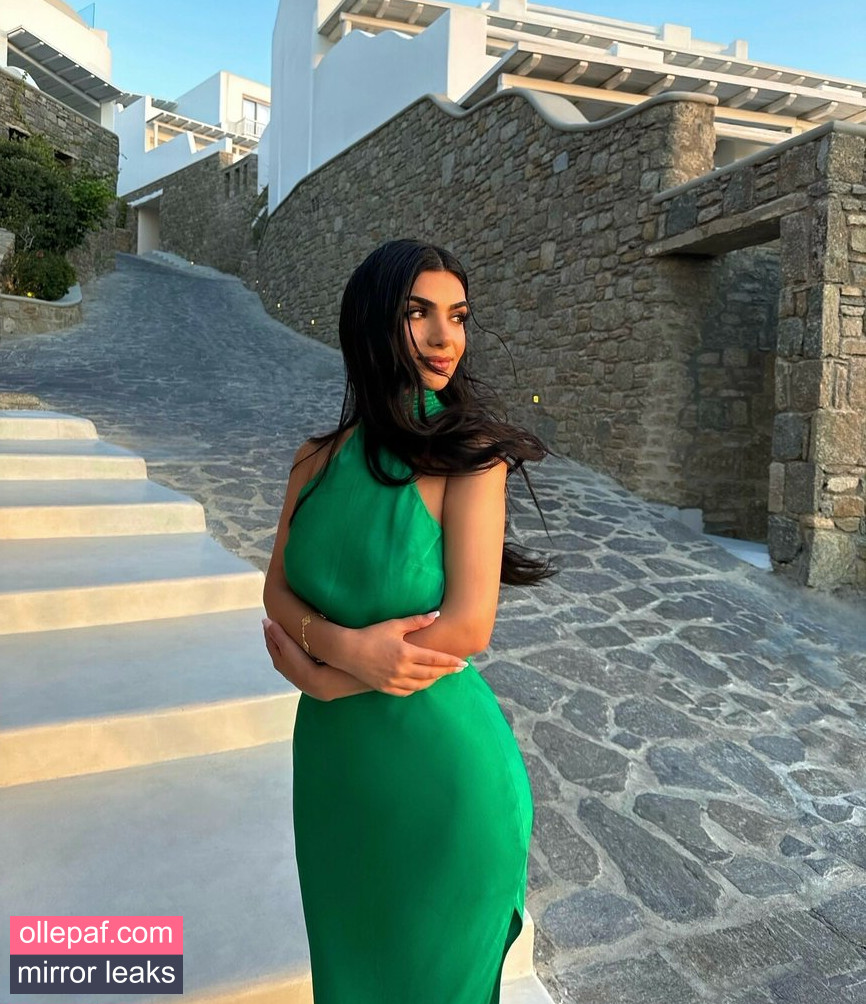 Latest Leaks Zenoviajafar Nude #20 - Fapello