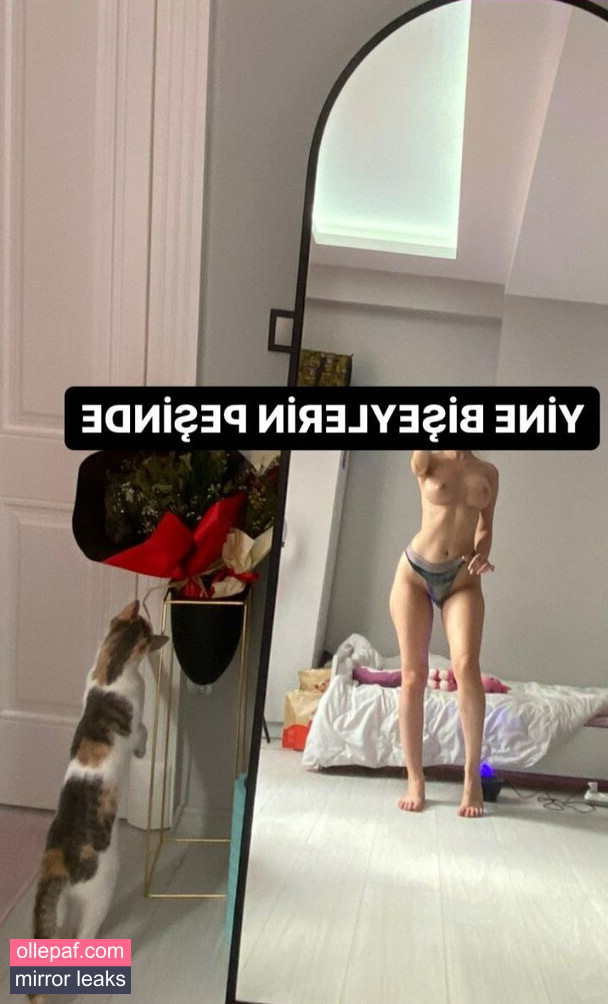 Latest Leaks Zeynepiksy Nude #28 - Fapello