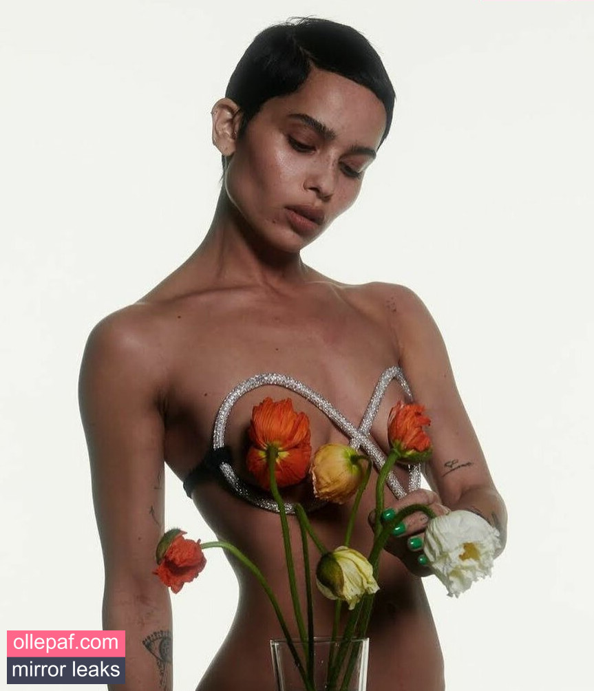 Latest Leaks Zoe Kravitz Nude #131 - Fapello