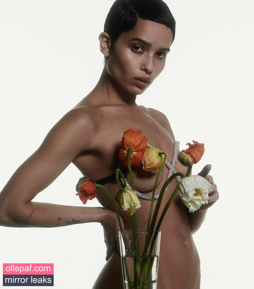 Latest Leaks Zoe Kravitz Nude #132 - Fapello