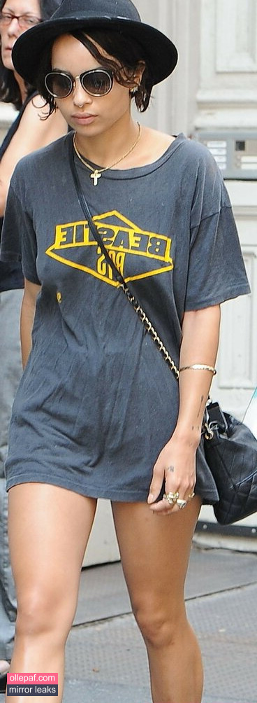 Latest Leaks Zoe Kravitz Nude #158 - Fapello