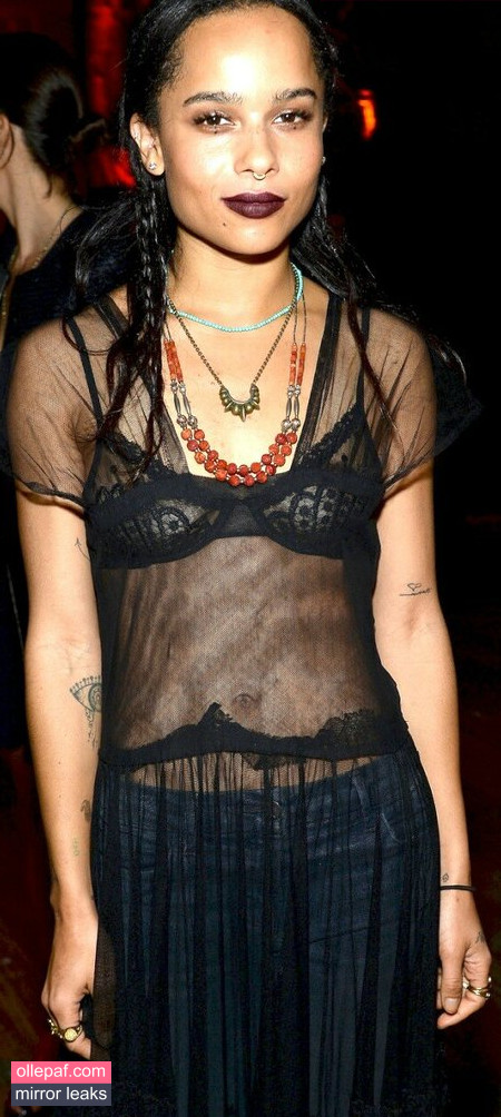 Latest Leaks Zoe Kravitz Nude #166 - Fapello