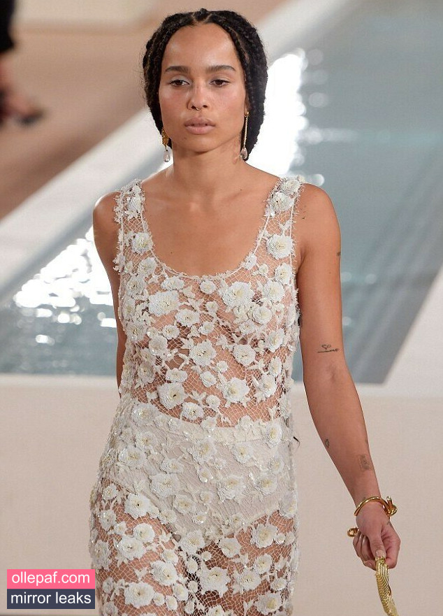 Latest Leaks Zoe Kravitz Nude #179 - Fapello