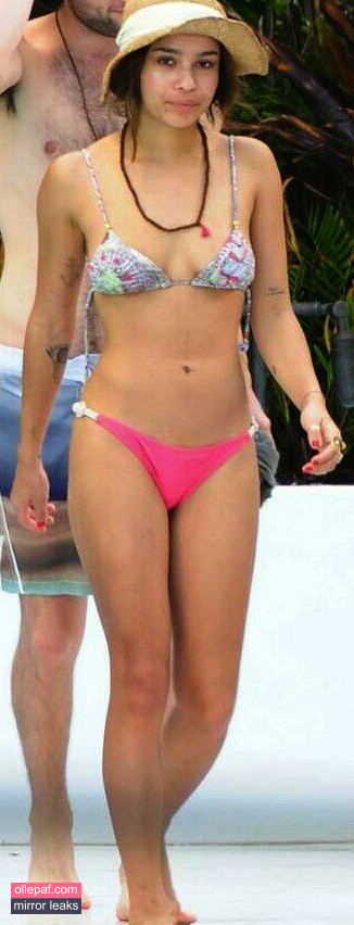 Latest Leaks Zoe Kravitz Nude #193 - Fapello