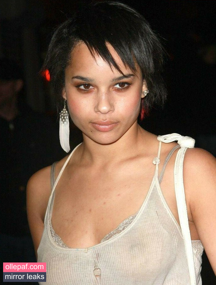 Latest Leaks Zoe Kravitz Nude #220 - Fapello