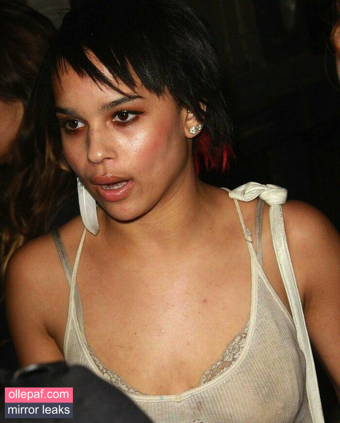 Latest Leaks Zoe Kravitz Nude #221 - Fapello