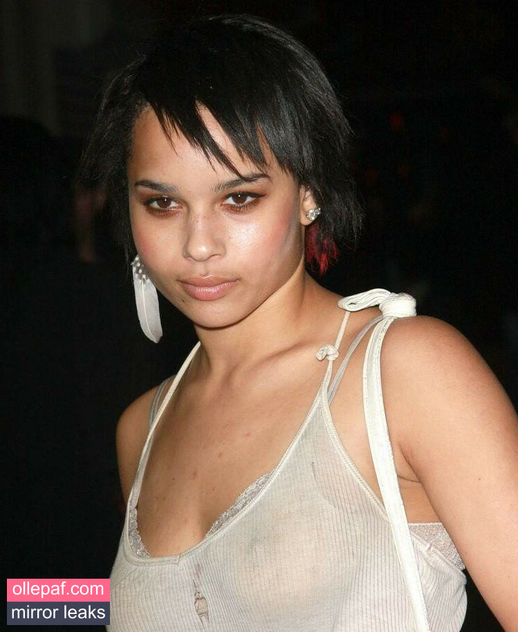 Latest Leaks Zoe Kravitz Nude #222 - Fapello