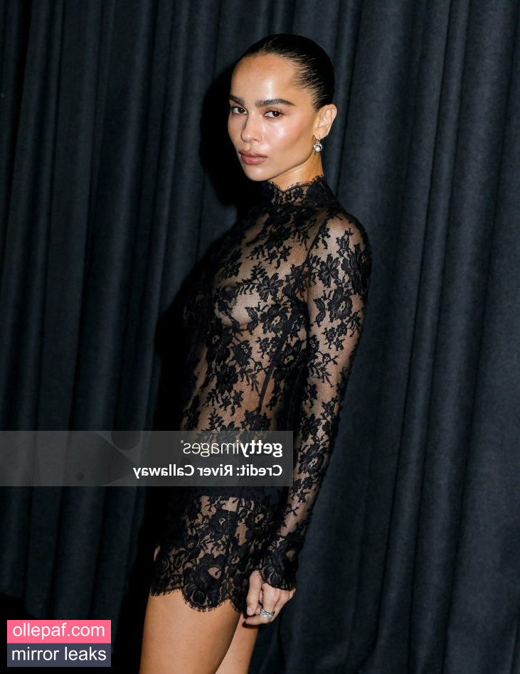Latest Leaks Zoe Kravitz Nude #66 - Fapello