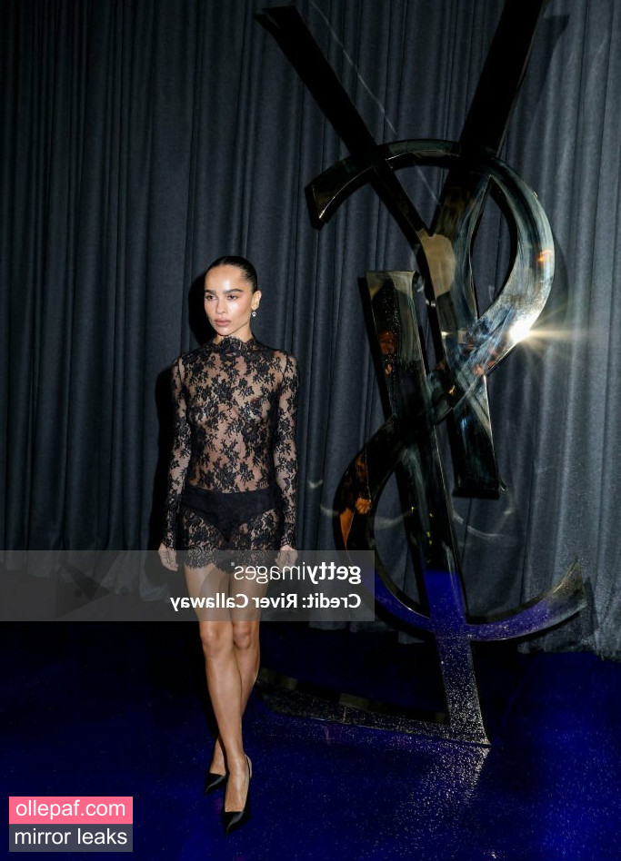 Latest Leaks Zoe Kravitz Nude #67 - Fapello