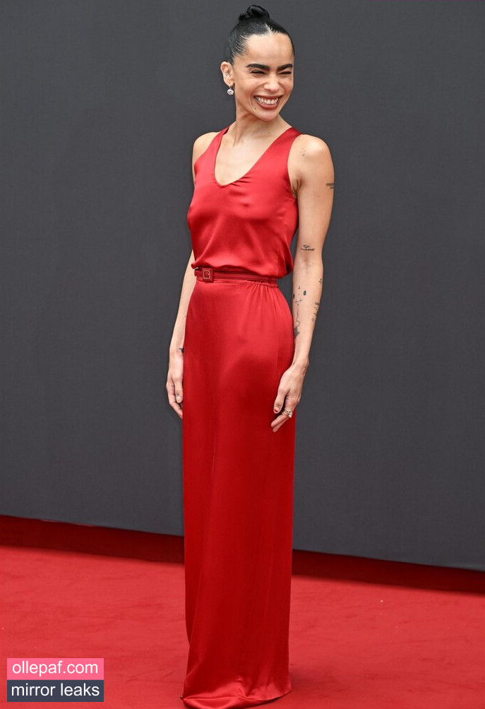 Latest Leaks Zoe Kravitz Nude #71 - Fapello