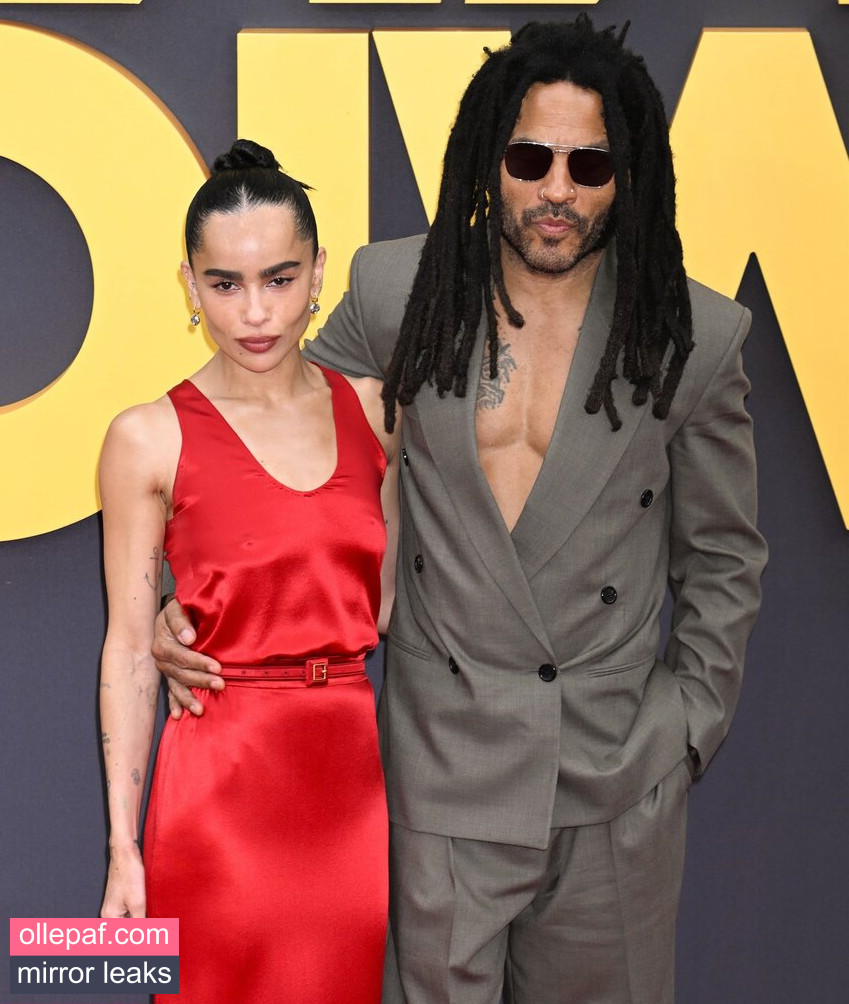 Latest Leaks Zoe Kravitz Nude #72 - Fapello