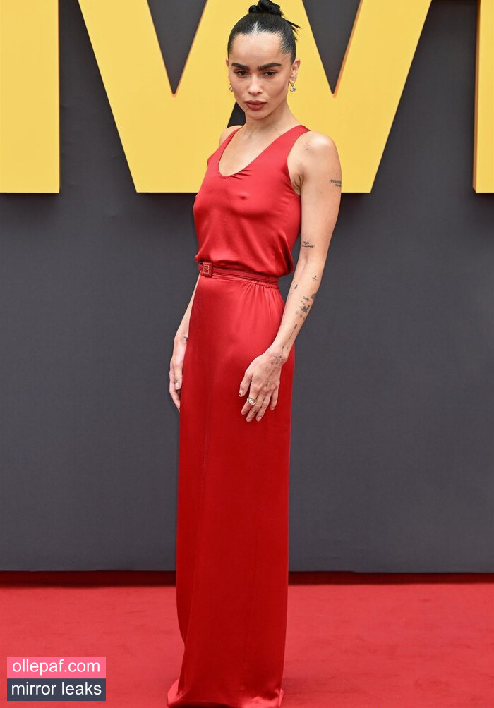Latest Leaks Zoe Kravitz Nude #74 - Fapello