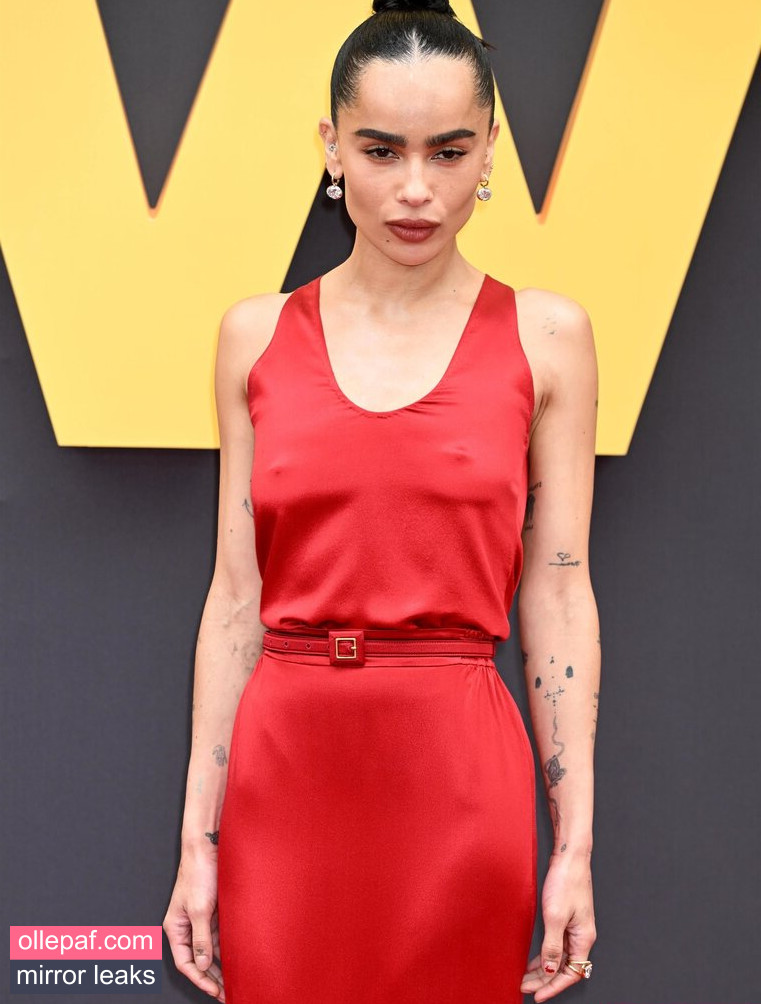 Latest Leaks Zoe Kravitz Nude #76 - Fapello