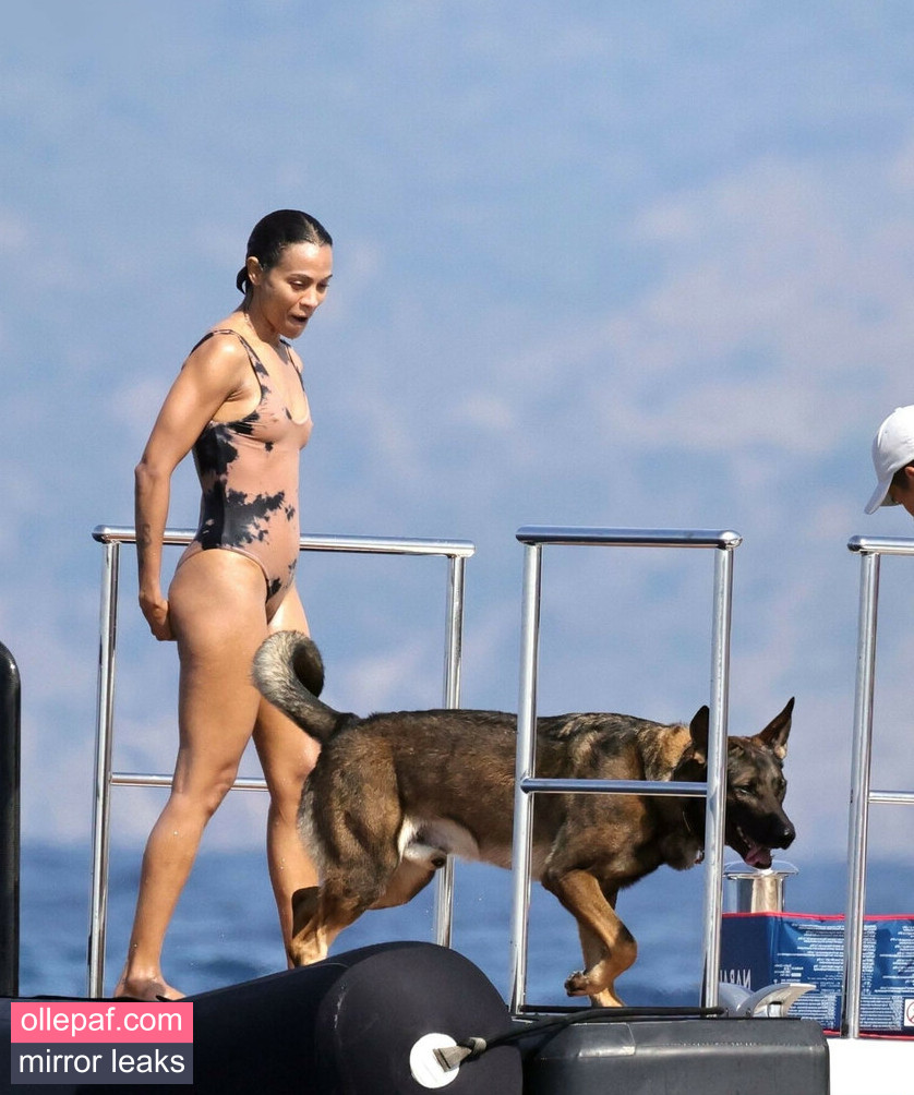Latest Leaks Zoe Saldana Nude #307 - Fapello
