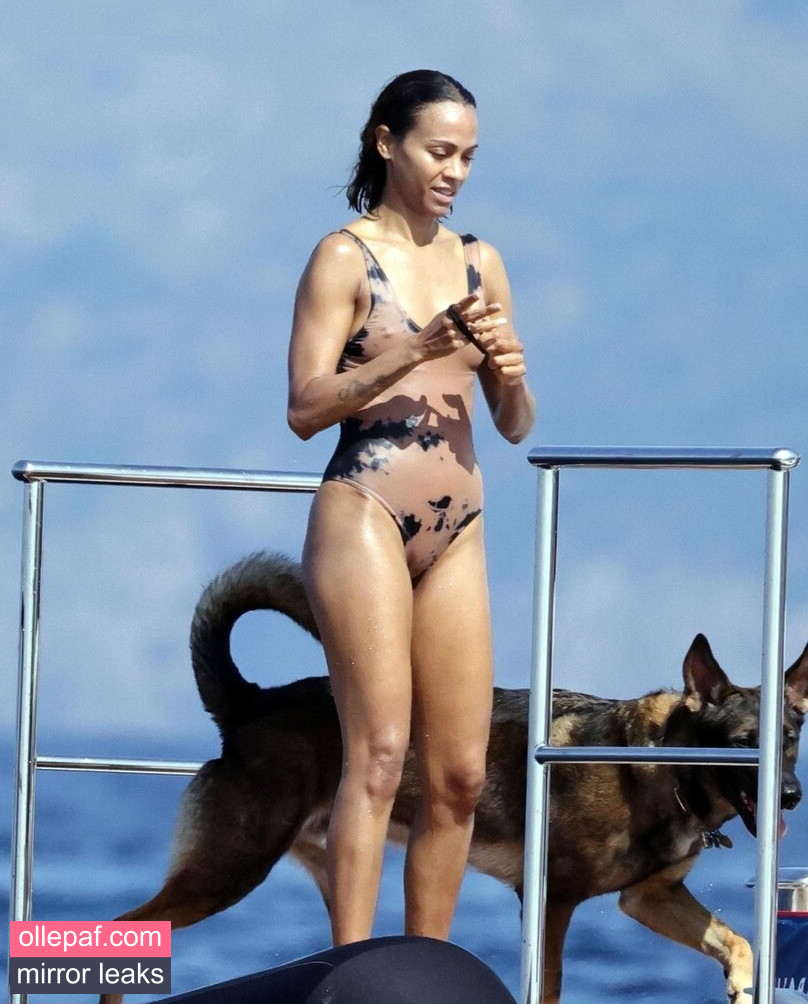 Latest Leaks Zoe Saldana Nude #410 - Fapello