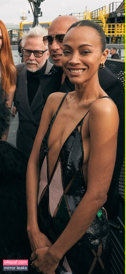 Latest Leaks Zoe Saldana Nude #531 - Fapello