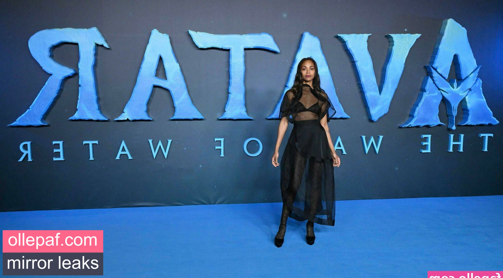 Latest Leaks Zoe Saldana Nude #684 - Fapello